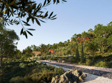 Systematica_Faith-Park_Newsroom