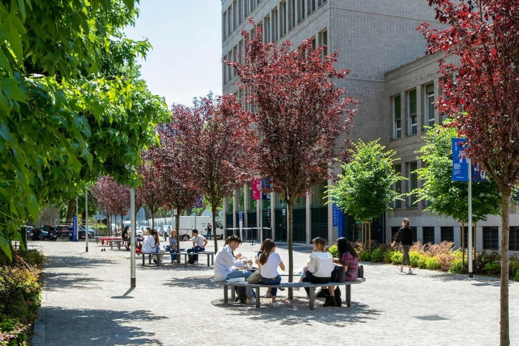 Analyzing pedestrian flows at Bocconi University to develop intuitive wayfinding strategies